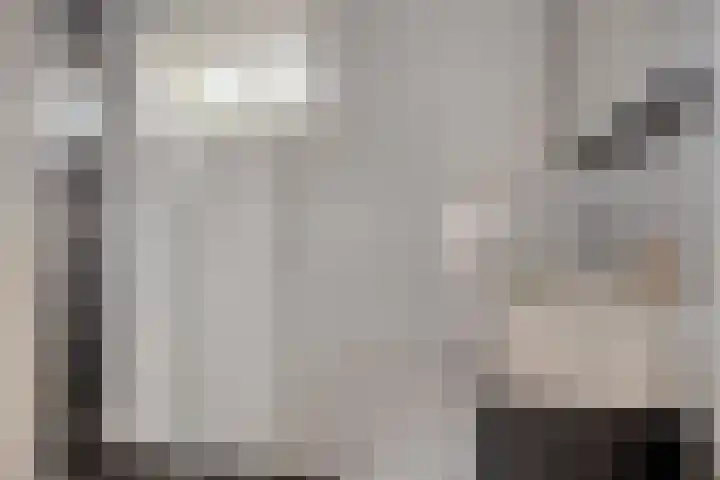 Pieter Pauluslaan 15 Eindhoven thumbnail 4
