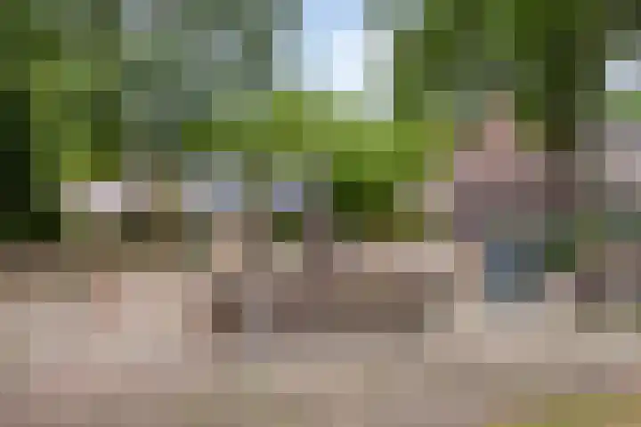Pieter Pauluslaan 15 Eindhoven thumbnail 41