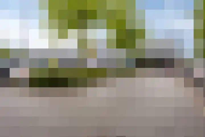 Pieter Pauluslaan 15 Eindhoven thumbnail 42