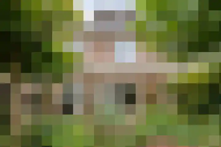 Pieter Pauluslaan 15 Eindhoven thumbnail 6