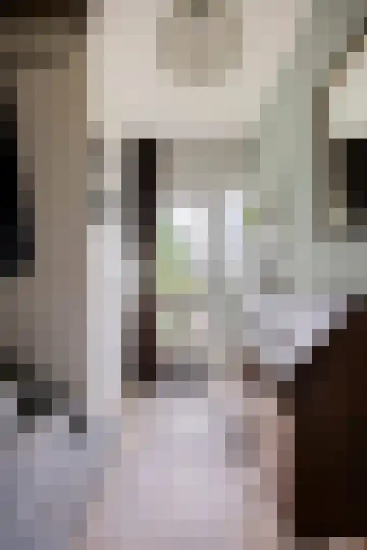 Pieter Pauluslaan 15 Eindhoven thumbnail 8