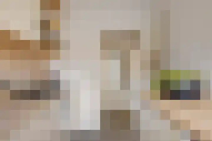 Pieter Pauluslaan 3 Eindhoven thumbnail 10