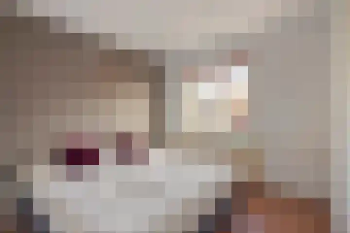 Pieter Pauluslaan 3 Eindhoven thumbnail 12