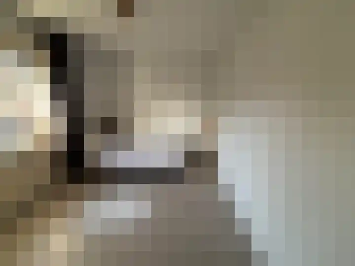 Pieter Pauluslaan 3 Eindhoven thumbnail 13