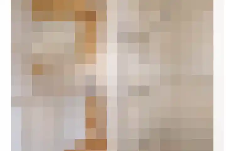 Pieter Pauluslaan 3 Eindhoven thumbnail 16