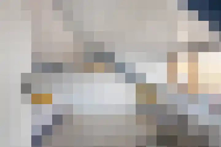 Pieter Pauluslaan 3 Eindhoven thumbnail 17