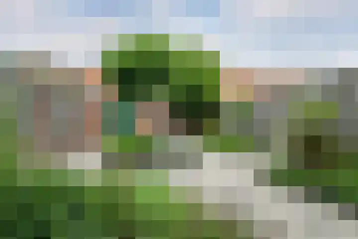 Pieter Pauluslaan 3 Eindhoven thumbnail 19