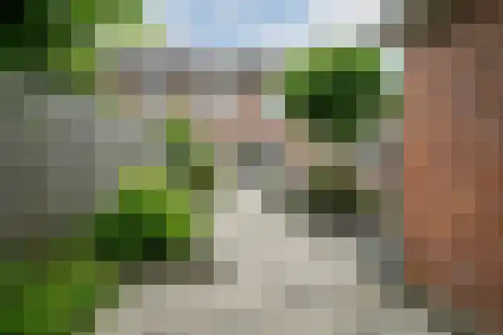 Pieter Pauluslaan 3 Eindhoven thumbnail 22