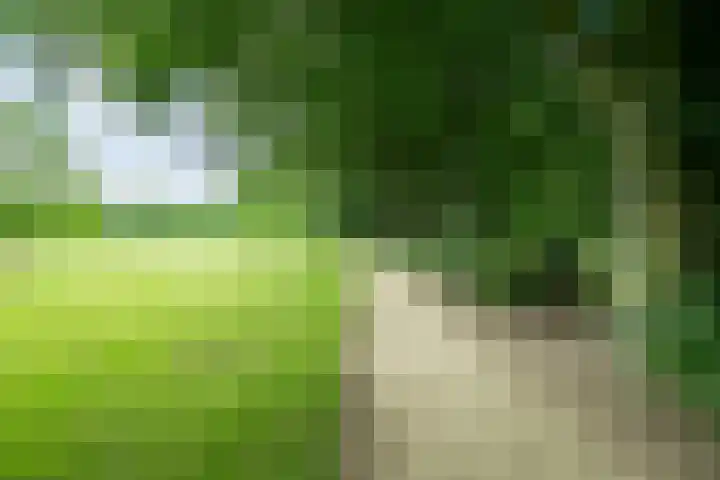 Pieter Pauluslaan 3 Eindhoven thumbnail 23