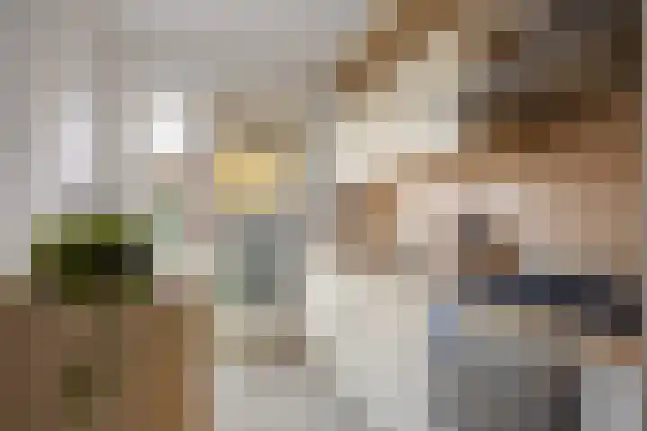 Pieter Pauluslaan 3 Eindhoven thumbnail 9