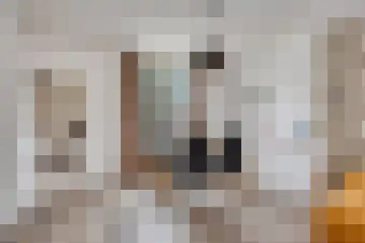 Pieter Paulusstraat 26 Axel thumbnail 4
