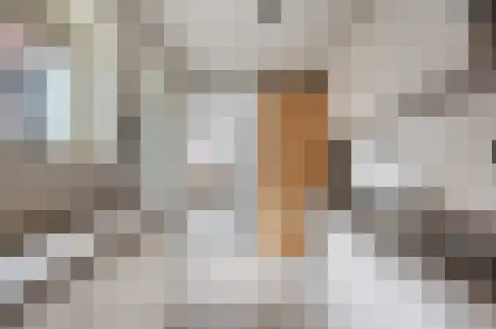 Pieter Paulusstraat 26 Axel thumbnail 7