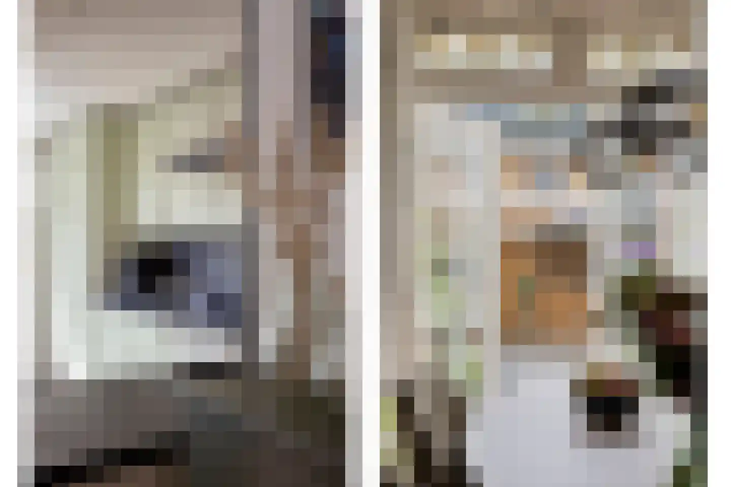 Pieter Pauwstraat 24 Zaandam thumbnail 15