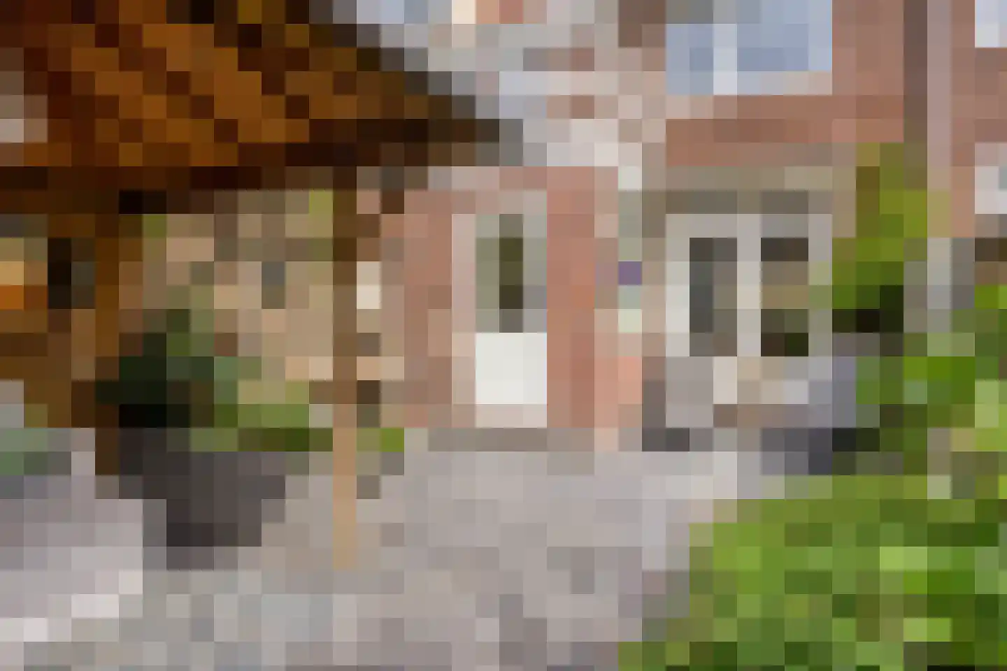 Pieter Pauwstraat 24 Zaandam thumbnail 33