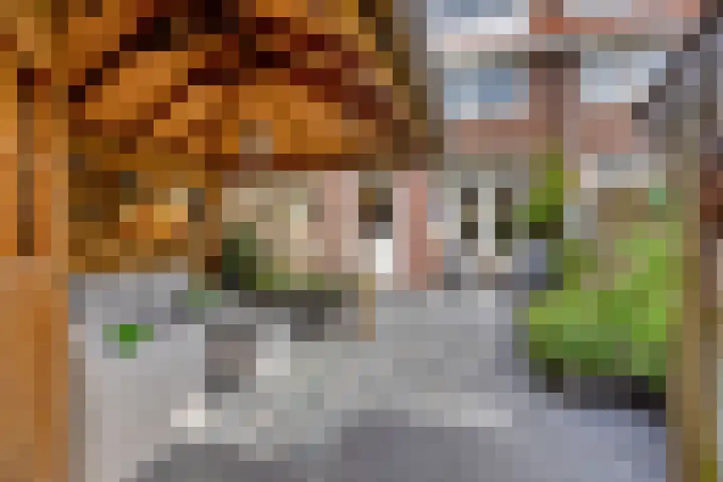 Pieter Pauwstraat 24 Zaandam thumbnail 35