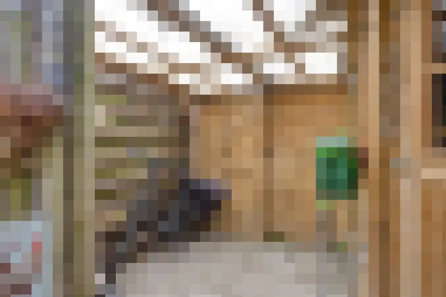 Pieter Pauwstraat 24 Zaandam thumbnail 36