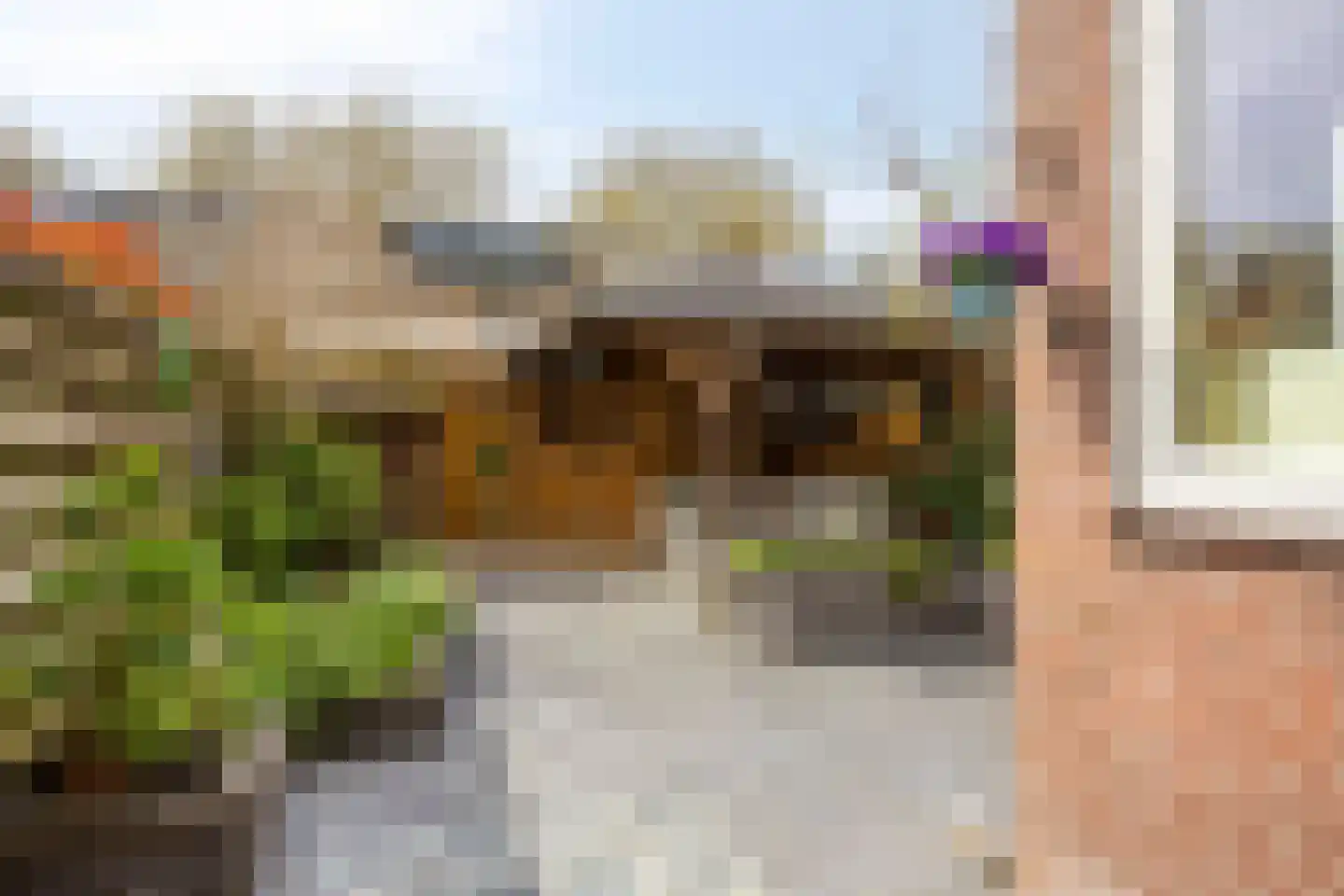 Pieter Pauwstraat 24 Zaandam thumbnail 4