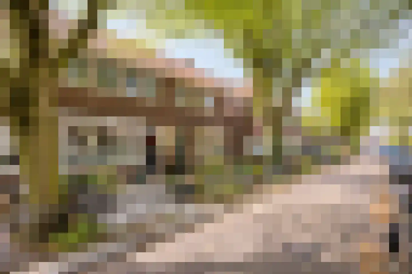 Pieter Pauwstraat 24 Zaandam thumbnail 41