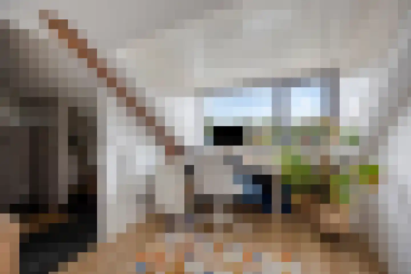 Pieter Pauwstraat 61 Zaandam thumbnail 25