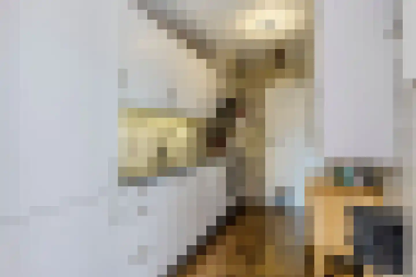 Pieter Pauwstraat 8 Tilburg thumbnail 14