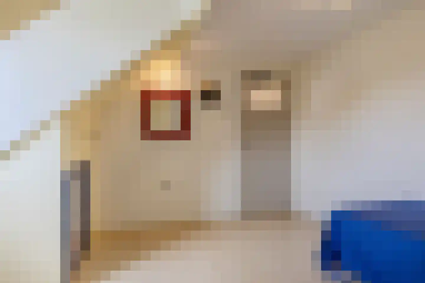 Pieter Pauwstraat 8 Tilburg thumbnail 26