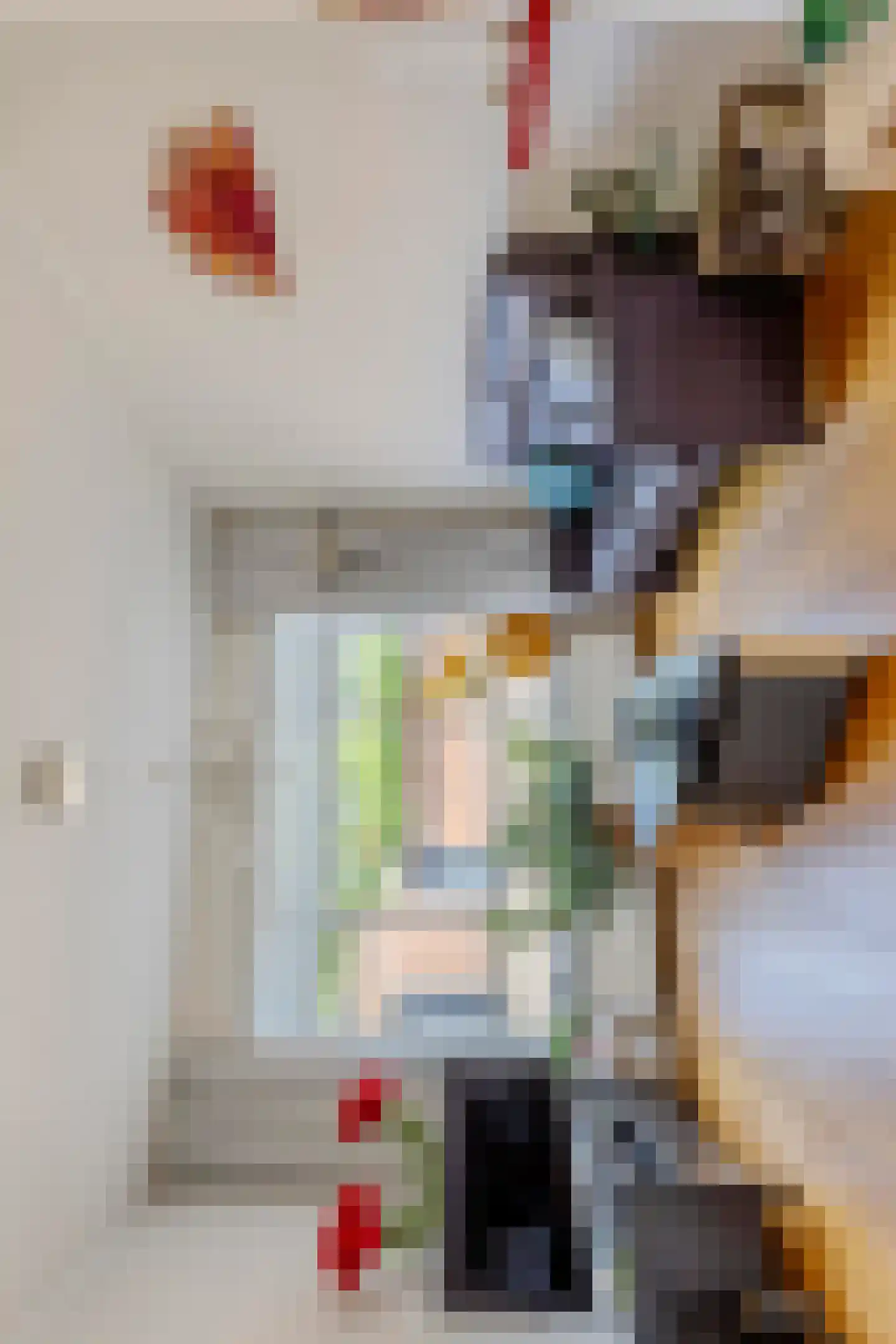 Pieter Pauwstraat 8 Tilburg thumbnail 7