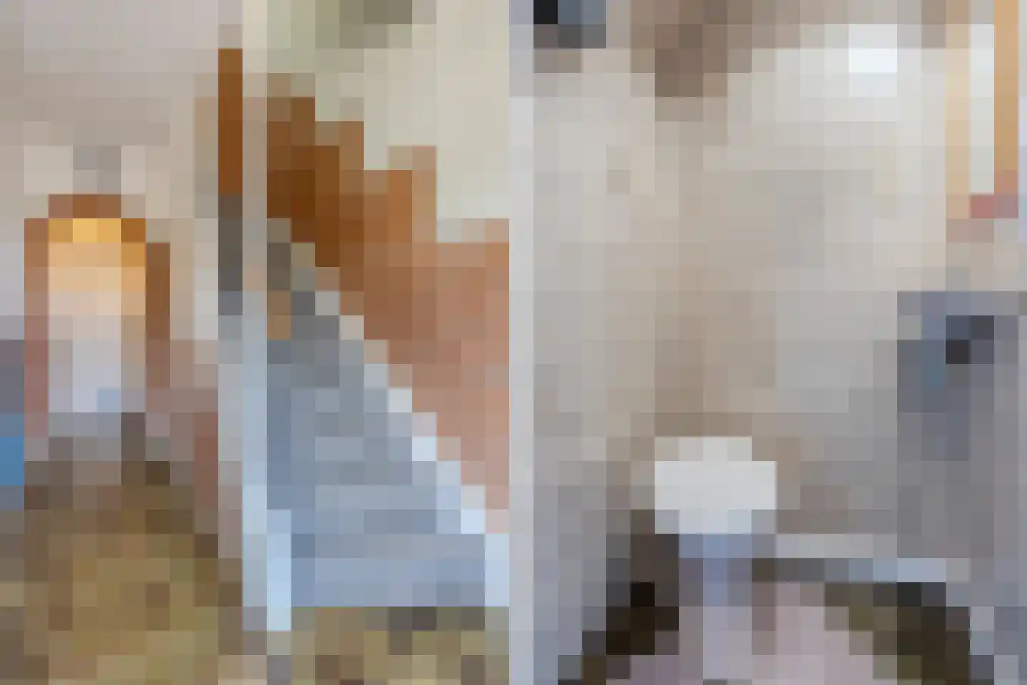 Pieter Pauwstraat 8 Tilburg thumbnail 8