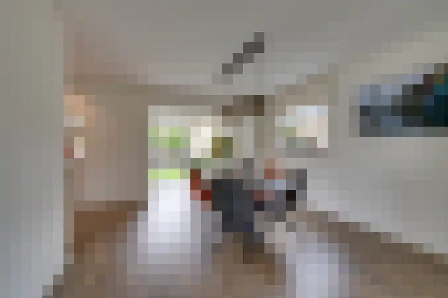 Pieter Pieterzoon Kroonstraat 11 West-Graftdijk thumbnail 17