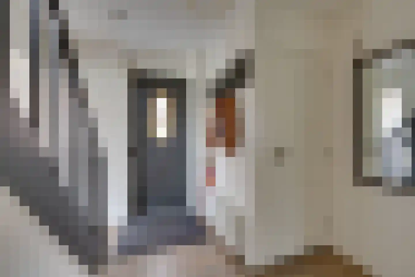 Pieter Pieterzoon Kroonstraat 11 West-Graftdijk thumbnail 9