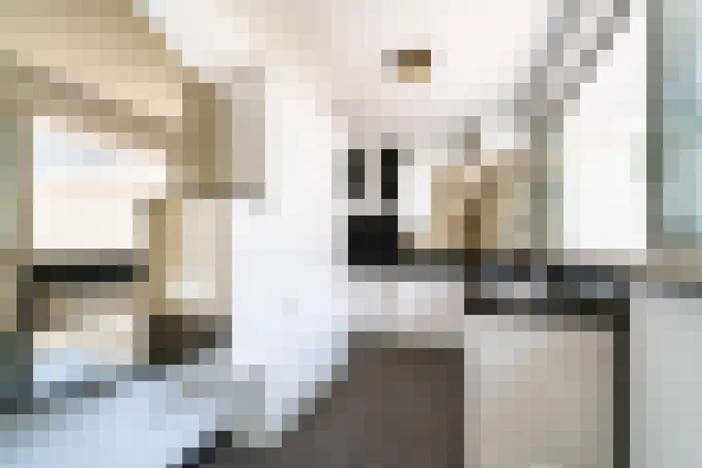 Pieter Postlaan 10 Wassenaar thumbnail 18