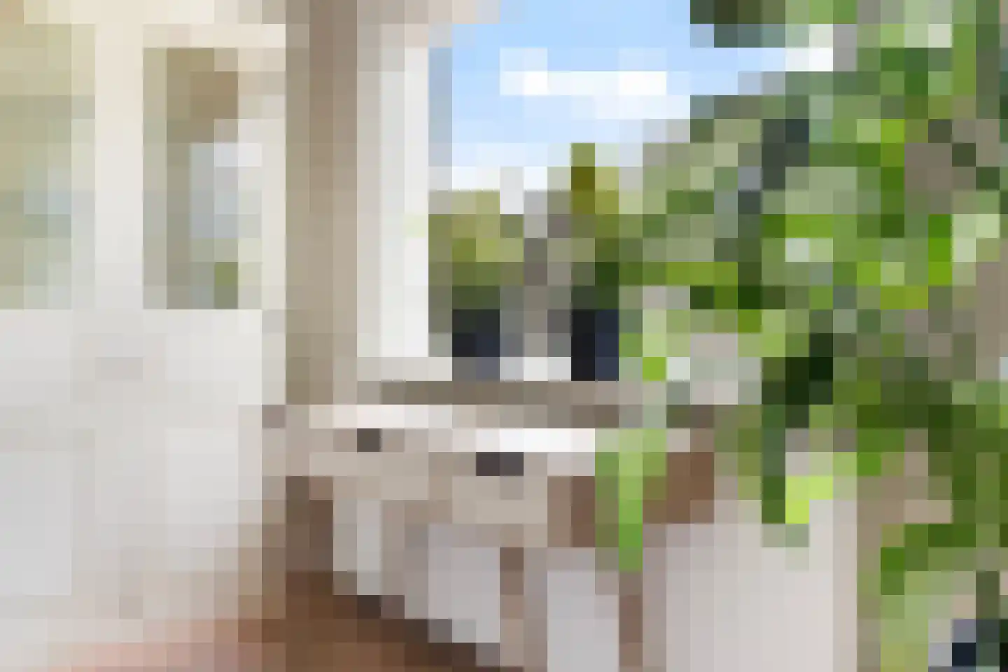 Pieter Postlaan 33 Rotterdam thumbnail 18