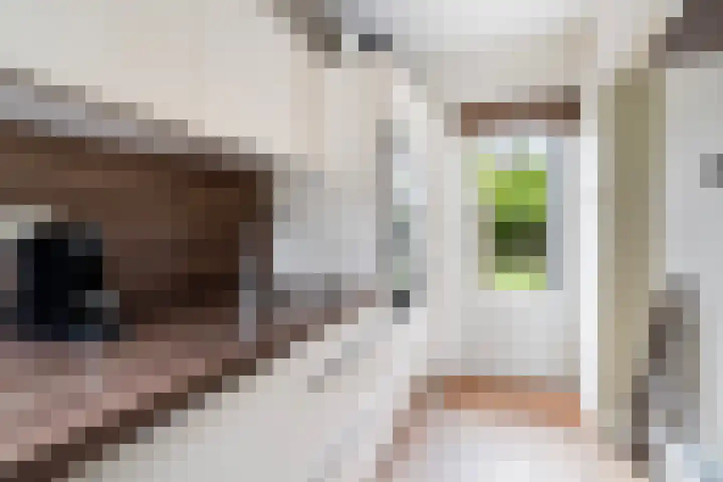 Pieter Postlaan 33 Rotterdam thumbnail 20
