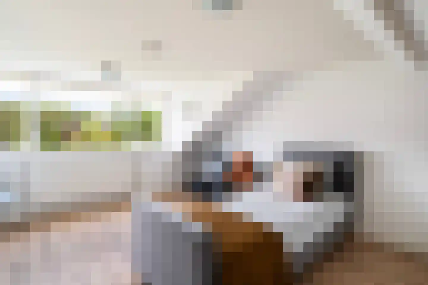 Pieter Postlaan 33 Rotterdam thumbnail 36