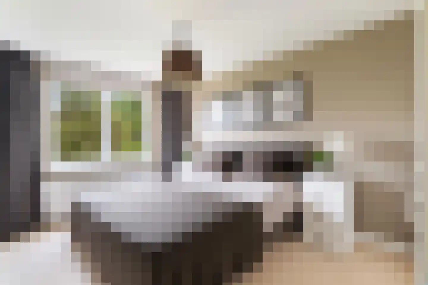 Pieter Postlaan 33 Rotterdam thumbnail 39