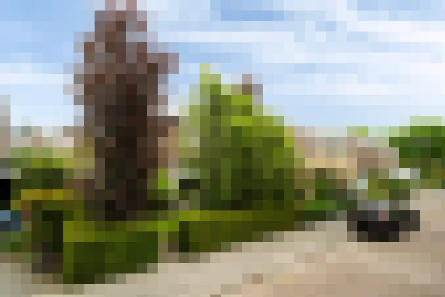 Pieter Postlaan 33 Rotterdam thumbnail 56