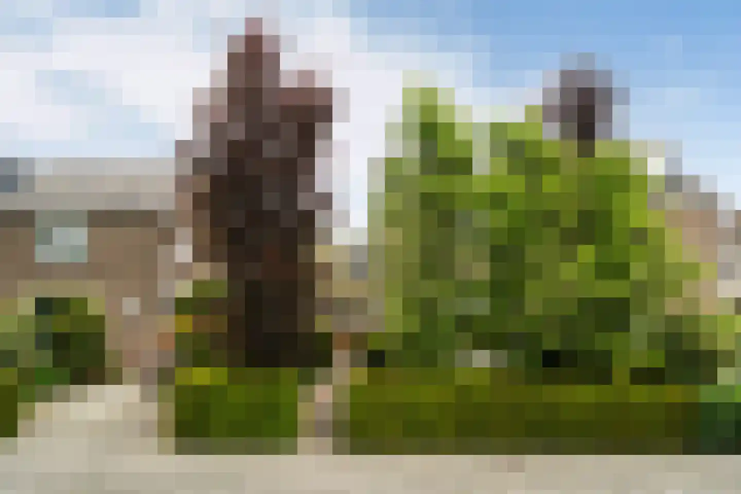 Pieter Postlaan 33 Rotterdam thumbnail 57