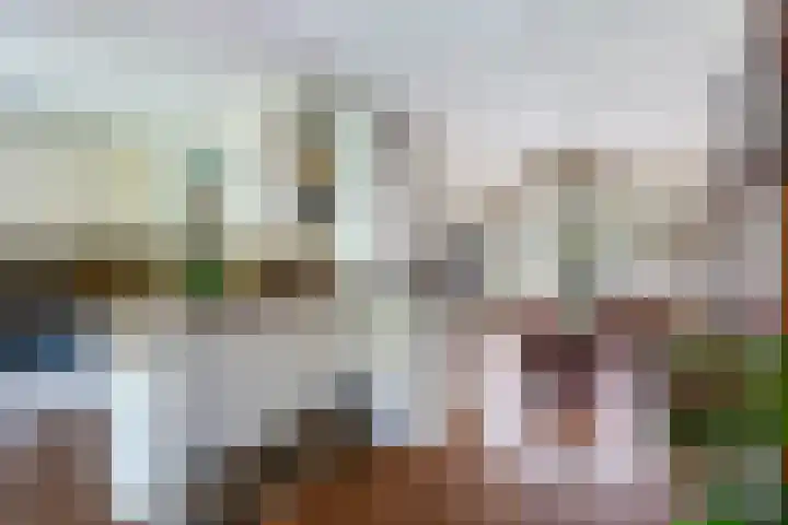 Pieter Postlaan 43 Rotterdam thumbnail 10