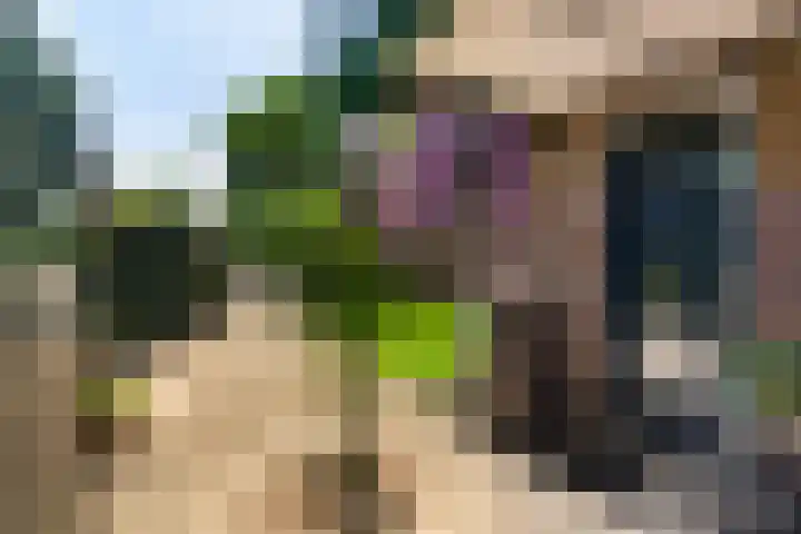 Pieter Postlaan 43 Rotterdam thumbnail 4