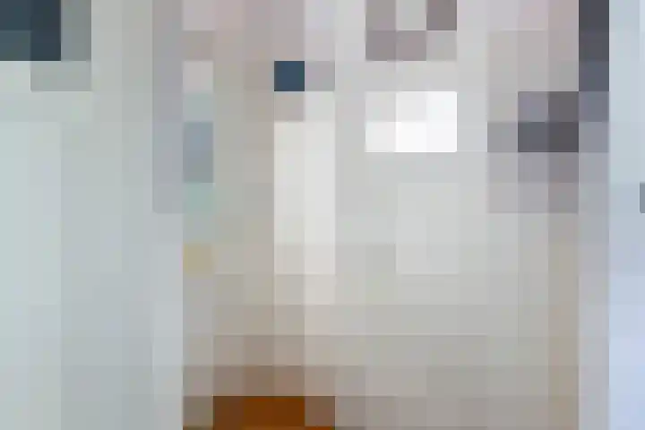 Pieter Postlaan 43 Rotterdam thumbnail 5
