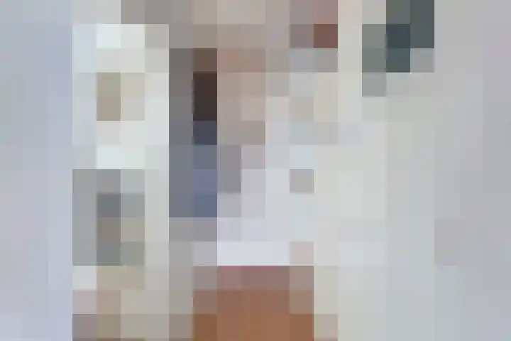 Pieter Postlaan 43 Rotterdam thumbnail 6