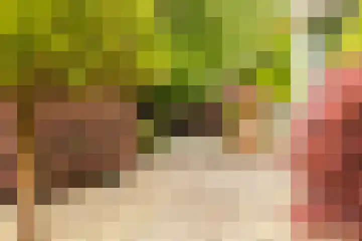 Pieter Postlaan 5 Wassenaar thumbnail 21