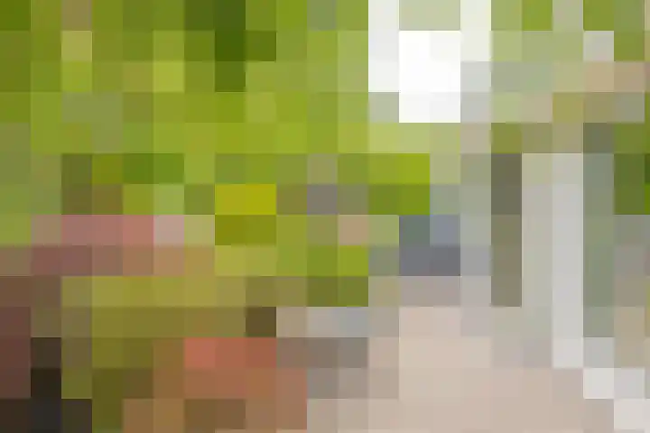 Pieter Postlaan 5 Wassenaar thumbnail 22