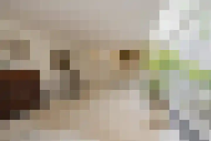 Pieter Postlaan 5 Wassenaar thumbnail 26