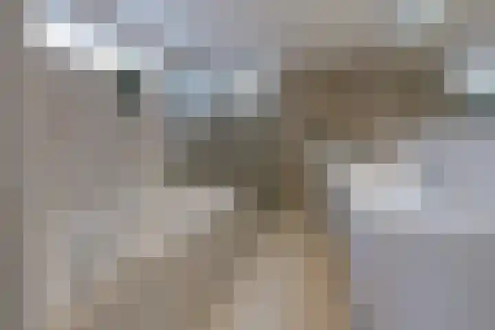 Pieter Postlaan 5 Wassenaar thumbnail 31