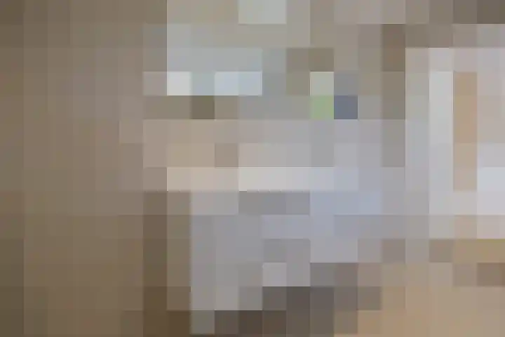 Pieter Postlaan 5 Wassenaar thumbnail 32