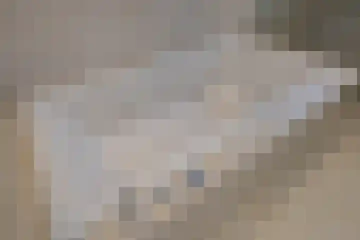 Pieter Postlaan 5 Wassenaar thumbnail 33