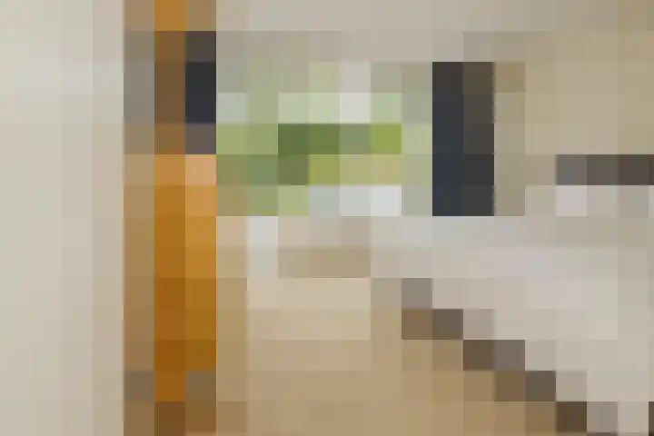 Pieter Postlaan 5 Wassenaar thumbnail 37