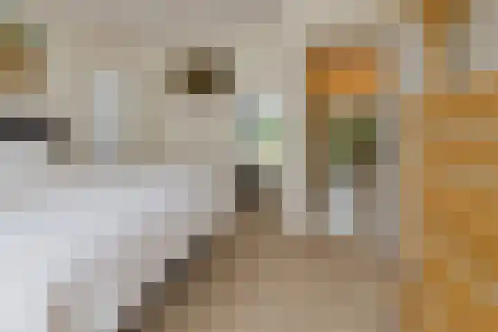 Pieter Postlaan 5 Wassenaar thumbnail 38
