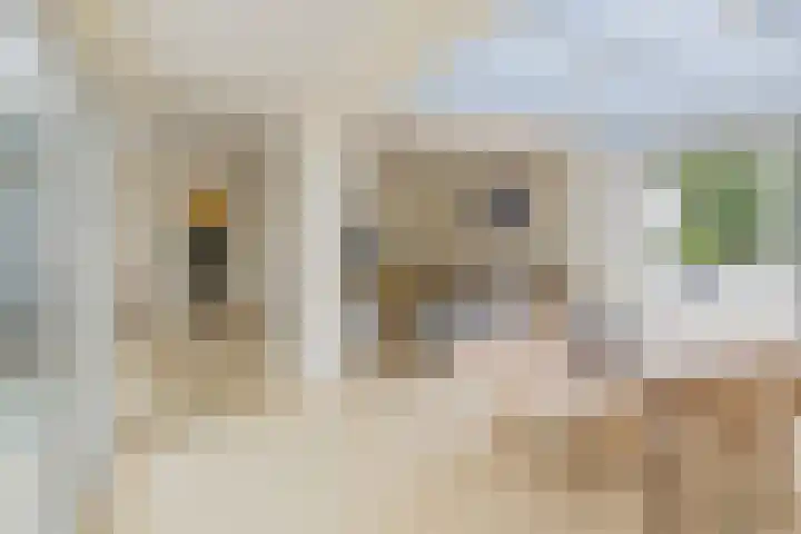 Pieter Postlaan 5 Wassenaar thumbnail 47