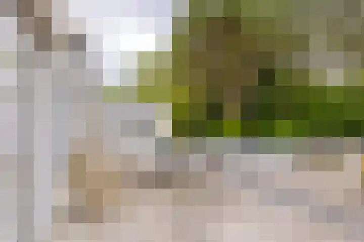 Pieter Postlaan 5 Wassenaar thumbnail 51